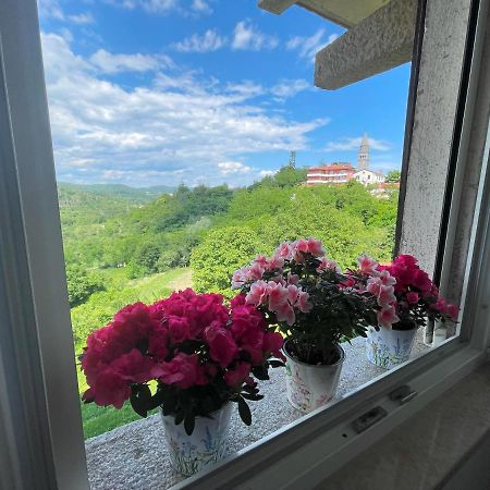 Apartment Kastel Пазин Экстерьер фото
