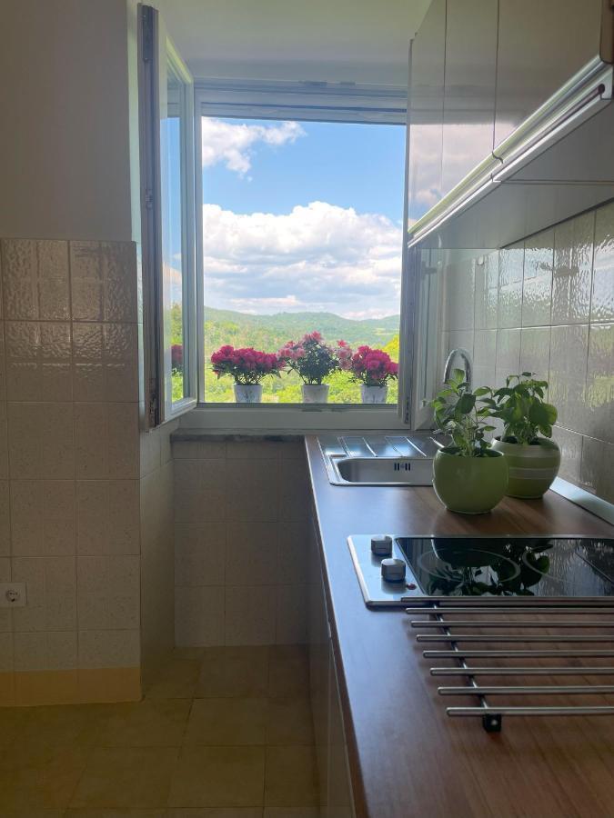 Apartment Kastel Пазин Экстерьер фото